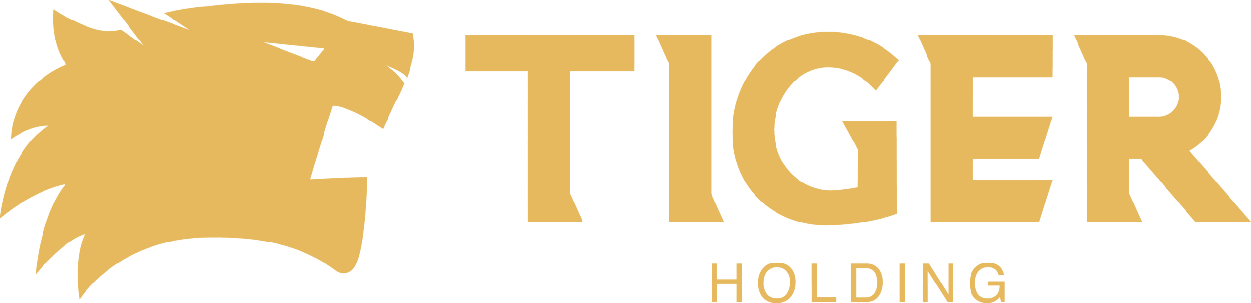 Tiger Holding