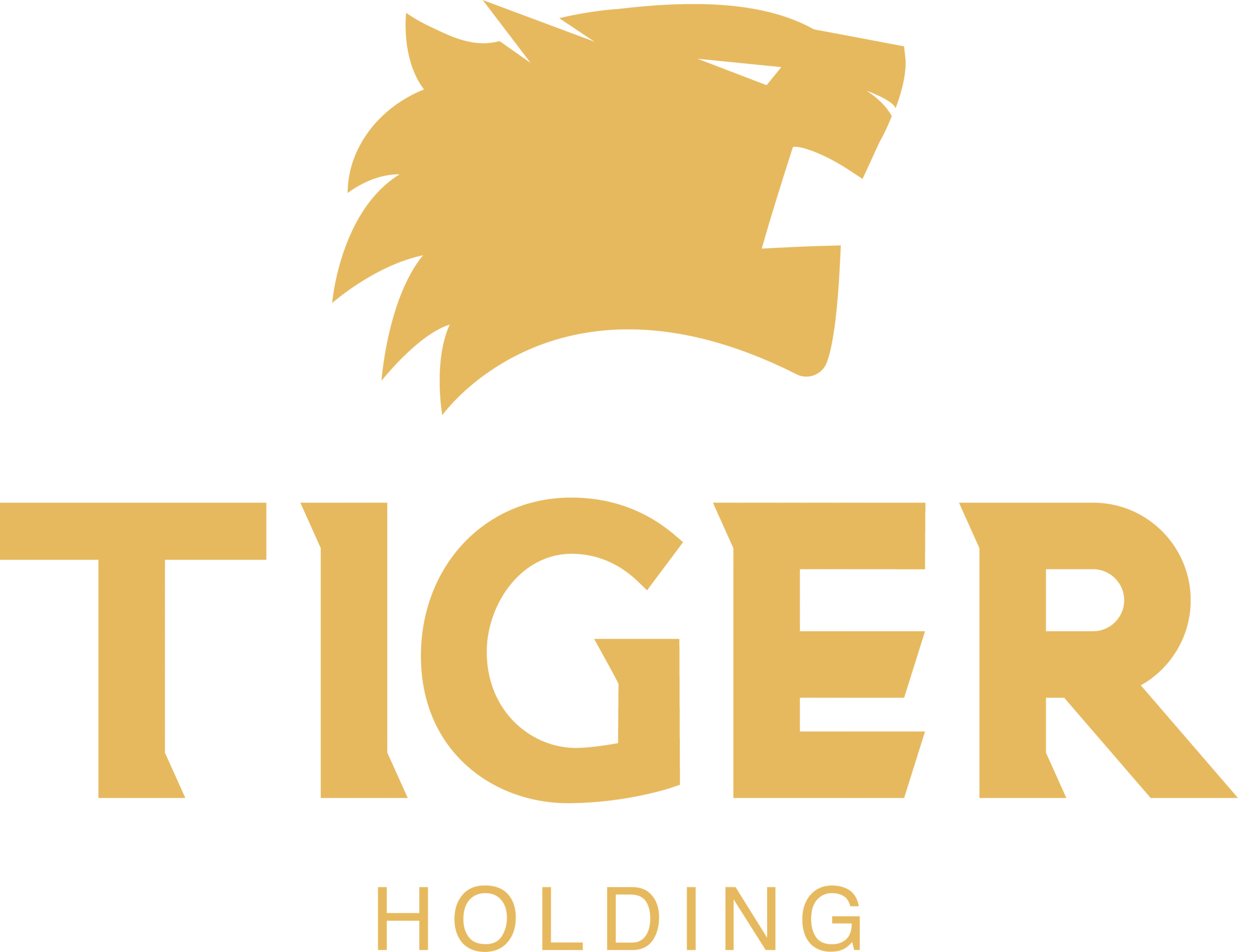 Tiger Holding